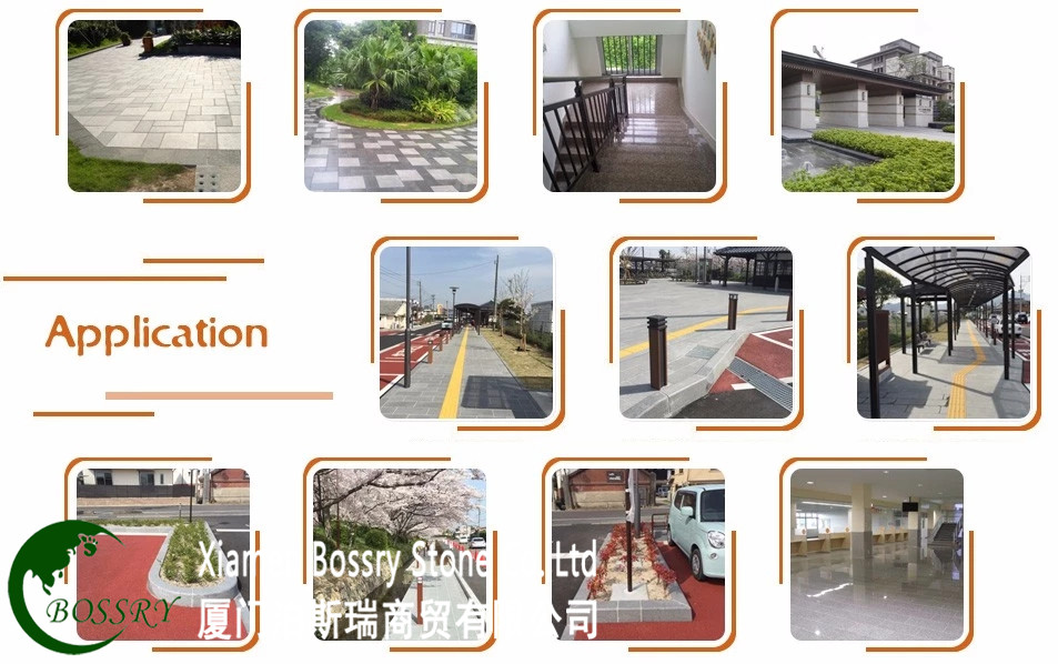 PAVGING (6).jpg PAVGING (6).jpg