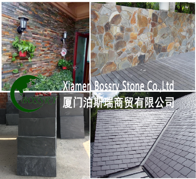 COLOR LOGO.png COLOR LOGO.png