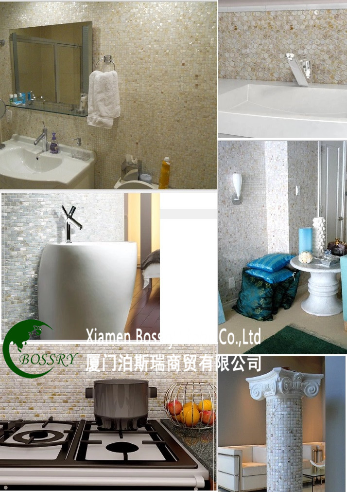 shell mosaic for wall (2).jpg