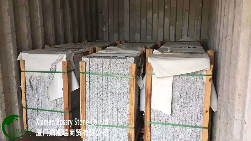 CGS07 Sea wave (2).jpg