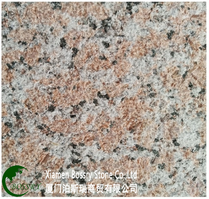 CGS10-G562 Maple Red-Bushhammer.jpg