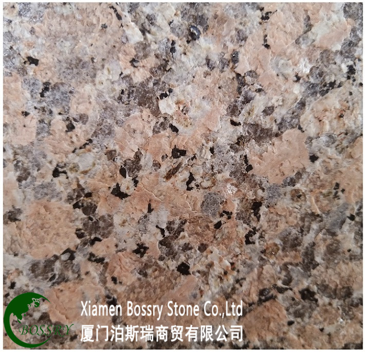 CGS10-G562 Maple Red-Flamed02.jpg