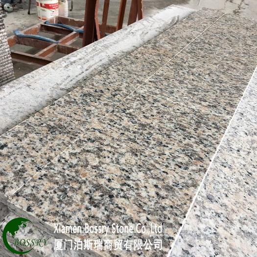 CGS26 Tiger skin red2.jpg CGS26 Tiger skin red2.jpg