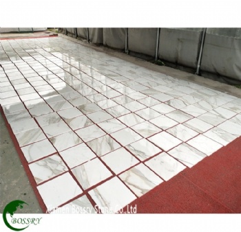  Italian Calacatta White Marble	