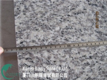 Tiger Skin White Granite Tiles