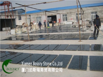  China butterfly green granite tiles	