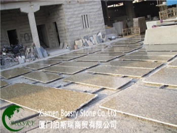  Brazil Gold  Amarelo Cecilia Granite Countertop	