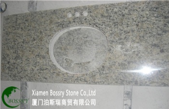  Santa Cecilia Granite Countertop	