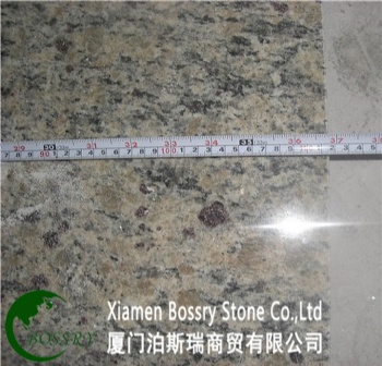  Santa Cecilia Granite Countertop	