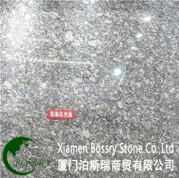  Spray White Sea Wave Oyster Granite Floor Tile	