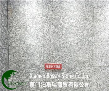  Spray White Sea Wave Oyster Granite Floor Tile	