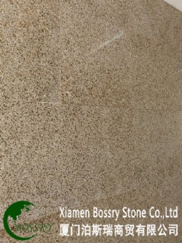  Desert Gold Yellow Granite G682 Polish Tile For Wall	