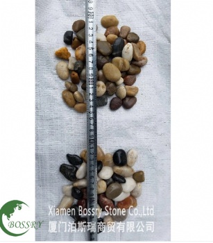  Colorful River Pebble Stone	