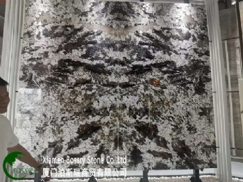  Butterfly Gold Granite Big Slab	