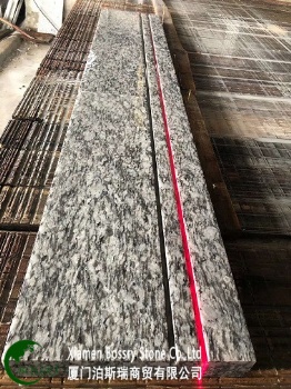  China Popular Granite Sea Wave Stairs	