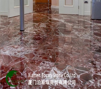 Rosso Levanto Marble 60x60 Floor Tile