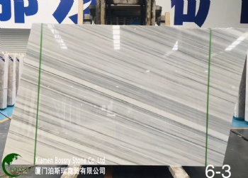  White Marmara vein Marble	