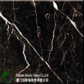  Saint Laurent Black Marble Slab Nero St Laurent Black Marble	