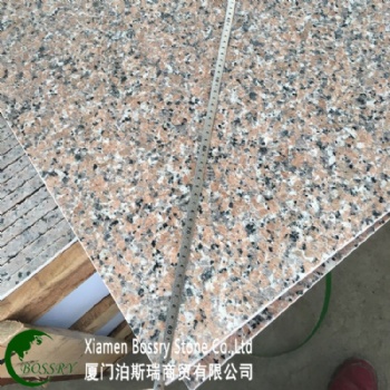  China Red Granite Rosa Porrino Granite Pink Polished	