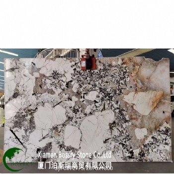  Luxury Stone Patagonia White Granite	