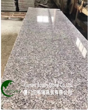  Pink Granite Rosa Porrino	