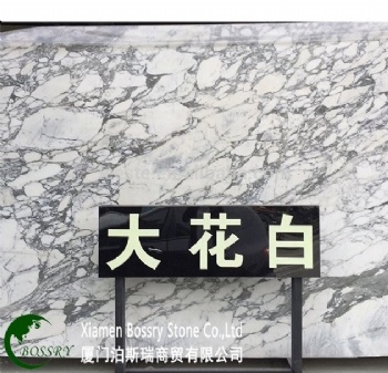 Classico Arabescato White Marble With Black Veins slab