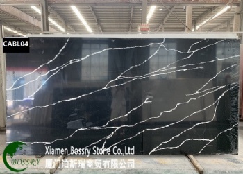 Black and White Marble Looks Quartz