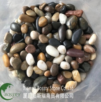  Colorful River Pebble Stone	